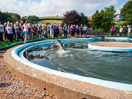 PH020922-102 - Guernesey swimming